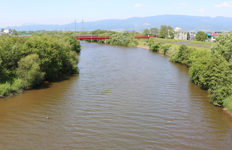 大野川河口付近は通称有川と呼ばれている。久根別川は注ぎ込んでいるため黒く濁っている。