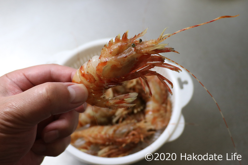 モヒカンのような特徴ある外観