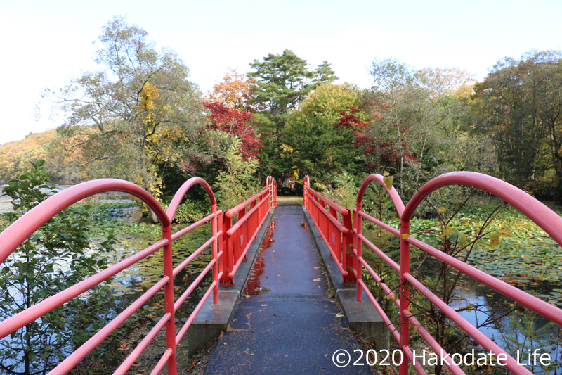 八郎沼公園の赤橋