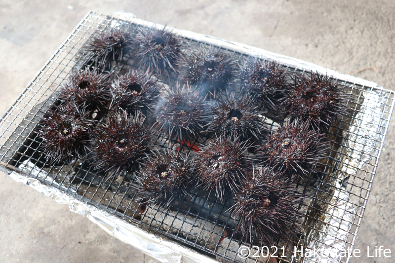 キタムラサキウニの炭火焼